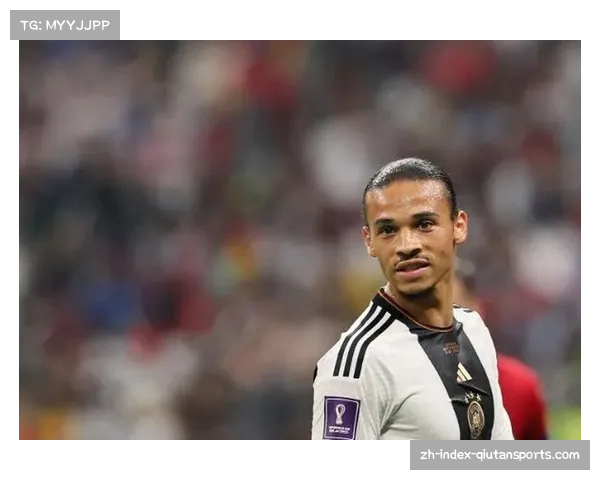 布伦瑞克两球迷因涉嫌歧视萨内弟弟被官方处罚禁赛两年